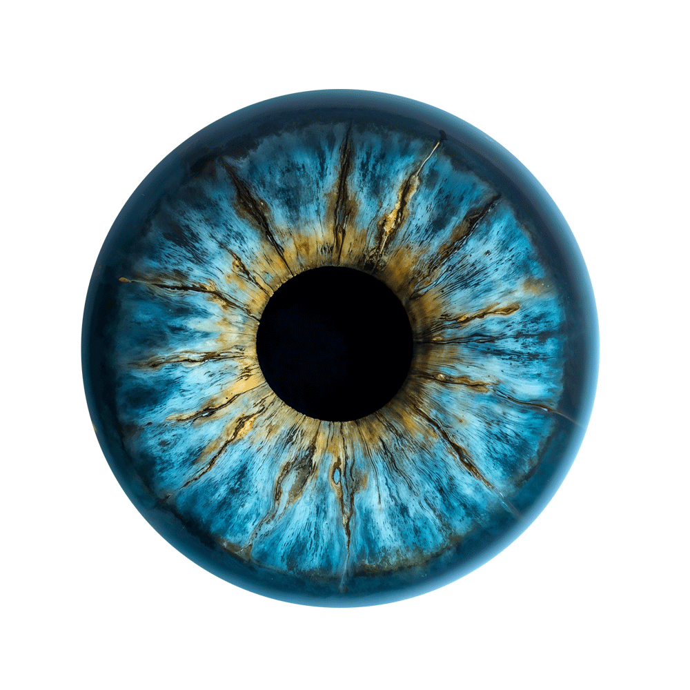 iris